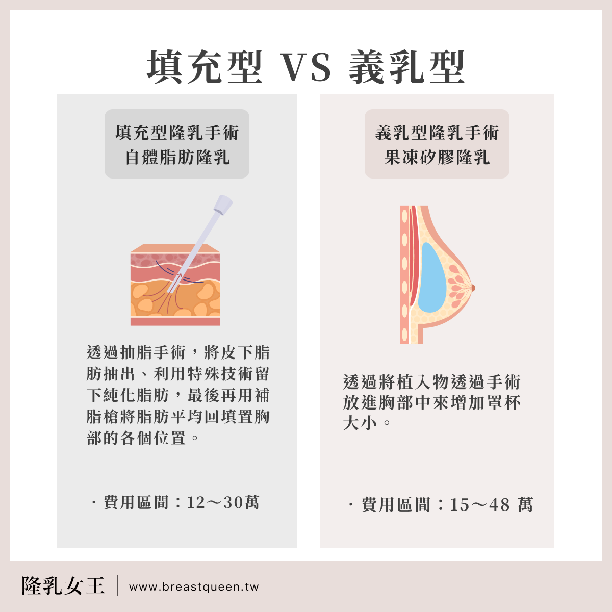 填充型 vs 義乳型
